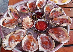 [photo, Oysters on the half-shell, Pratt St., Baltimore, Maryland]