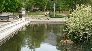 [photo, Albin O. Kuhn Library pond, University of Maryland Baltimore County, Catonsville, Maryland]